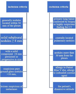 Subpleural pulmonary nodule marking with patent blue V dye prior to surgical resection